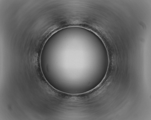 X0000113941265200909251233