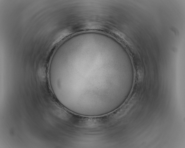 X0000113941266200909251233