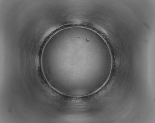 X0000113941267200909251233