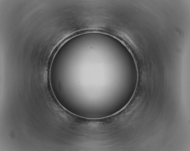 X0000113941268200909251233