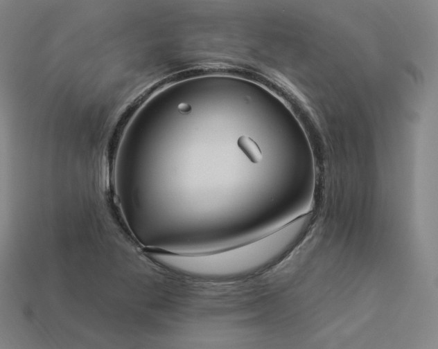 X0000113941269200909251233