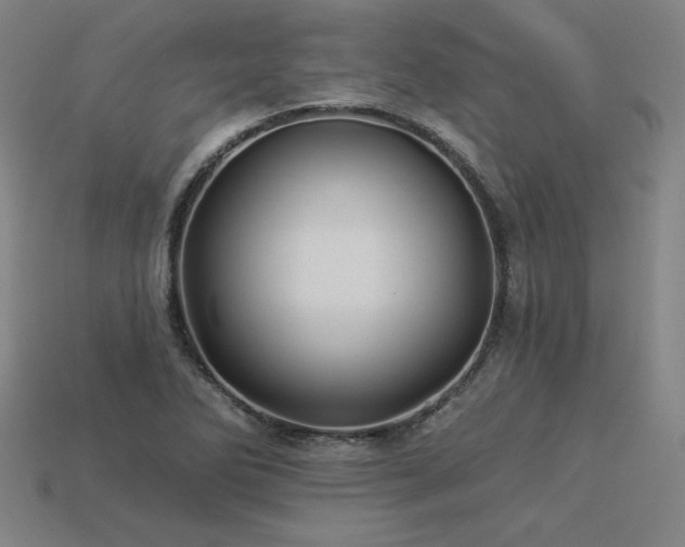 X0000113941270200909251233