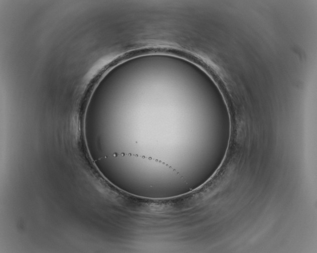 X0000113941271200909251233