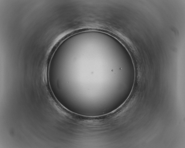X0000113941272200909251233