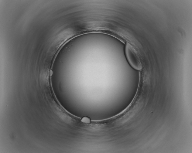 X0000113941273200909251233