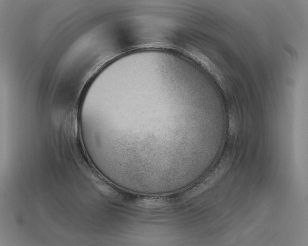 X0000113941274200909251232