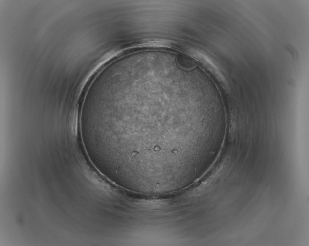 X0000113941276200909251232