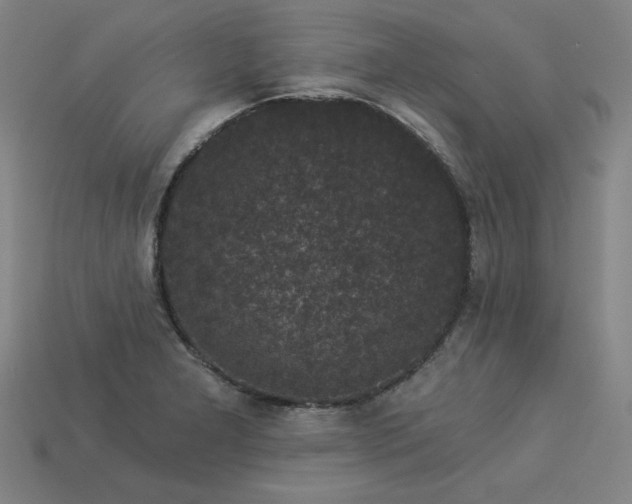 X0000113941277200909251232