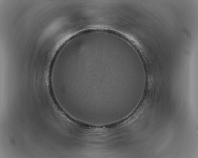 X0000113941279200909251232