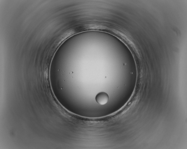 X0000113941281200909251232