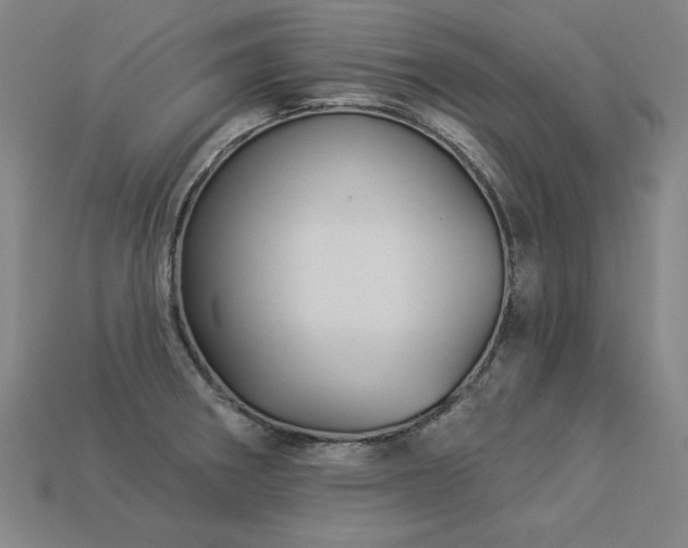 X0000113941282200909251232