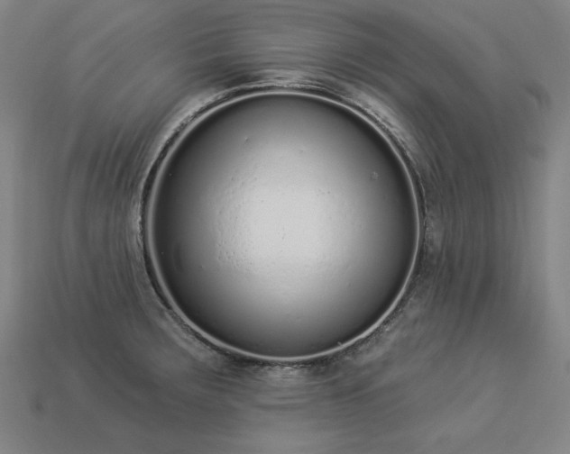 X0000113941283200909251232