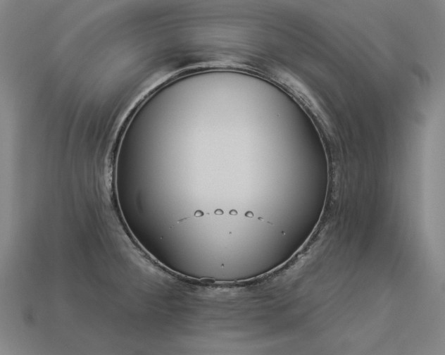 X0000113941284200909251232