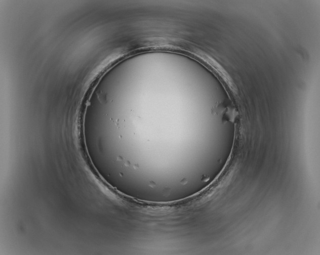 X0000113941285200909251232