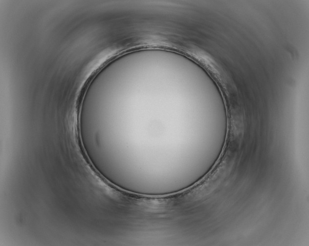X0000113941286200909251232