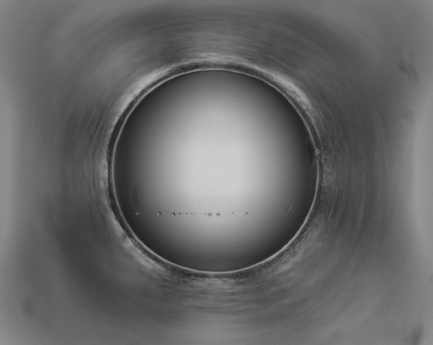 X0000113941287200909251232