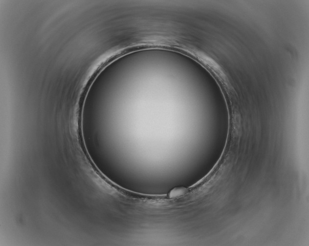 X0000113941288200909251232