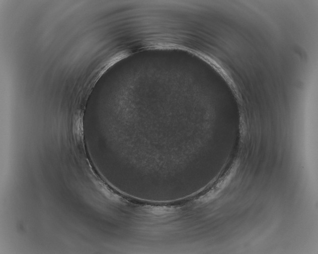 X0000113941289200909251232