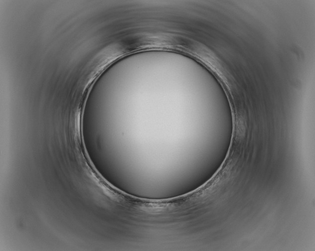 X0000113941290200909251232