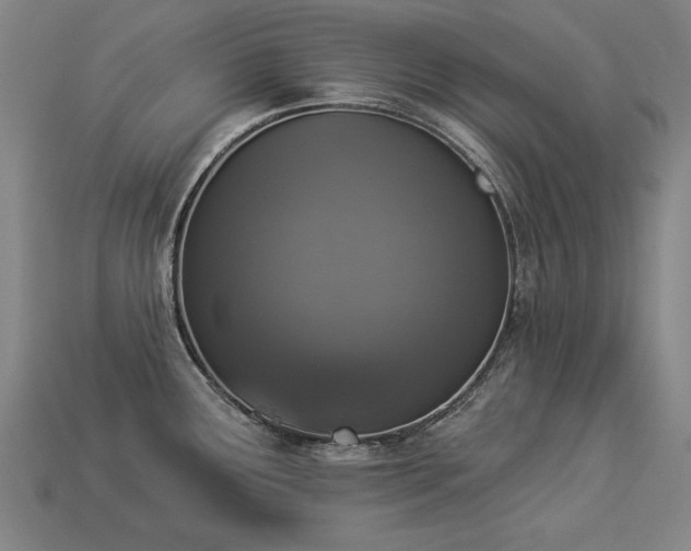X0000113941291200909251232