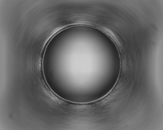 X0000113941292200909251232
