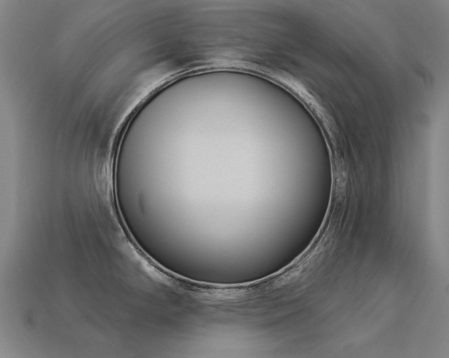 X0000113941294200909251232