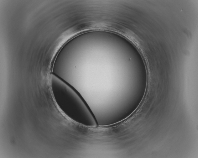 X0000113941296200909251232