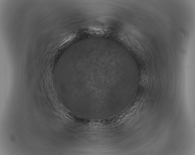 X0000113941297200909251232