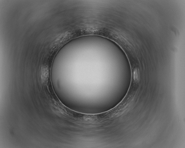 X0000113941299200909251232