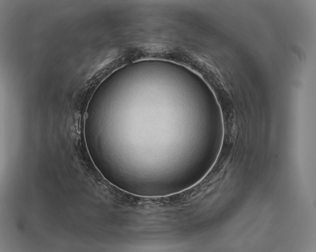 X0000113941301200909251232