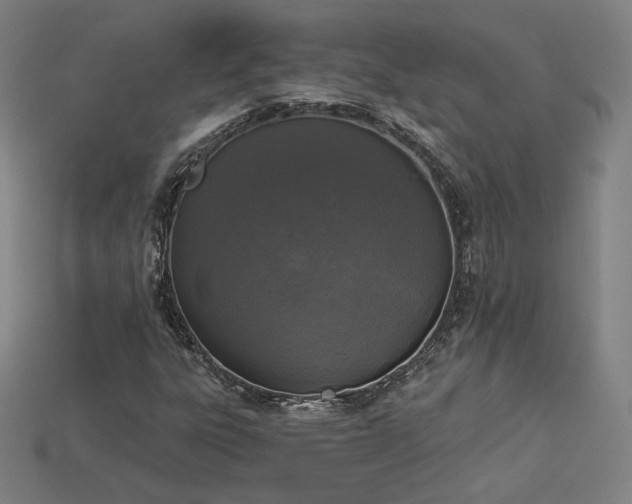 X0000113941303200909251232