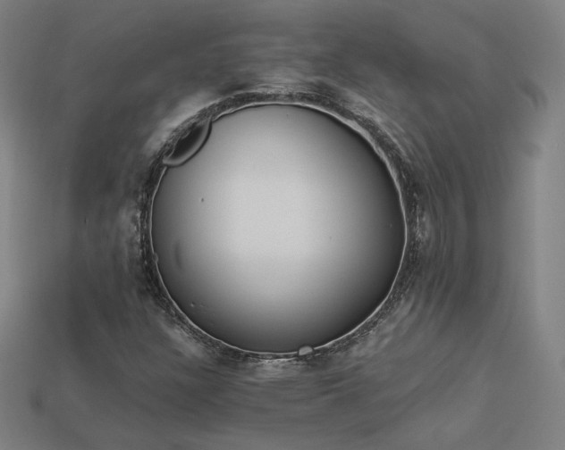 X0000113941304200909251232