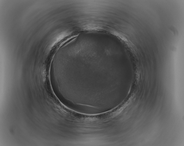 X0000113941306200909251232