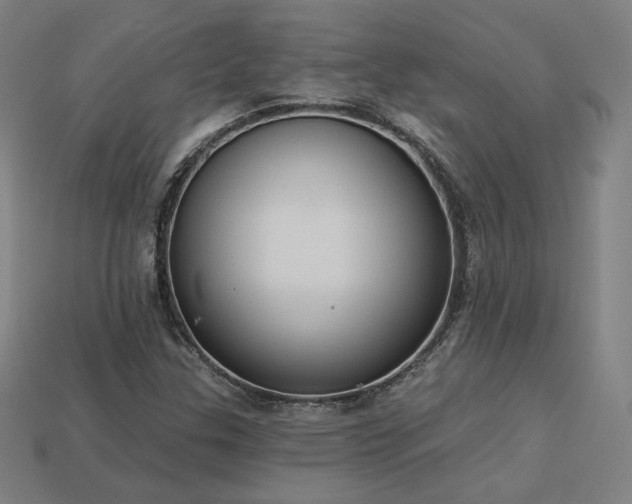 X0000113941307200909251232