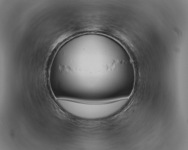 X0000113941308200909251232