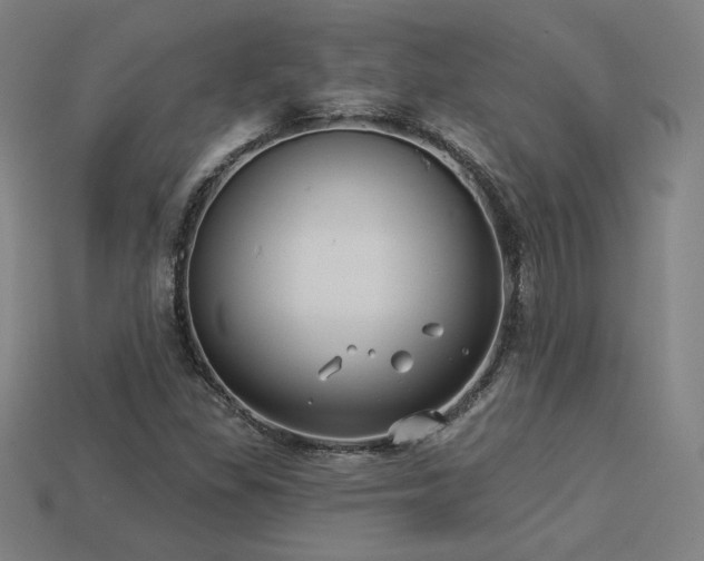 X0000113941309200909251232