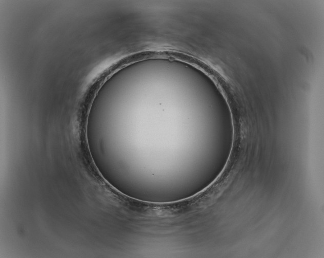 X0000113941311200909251232