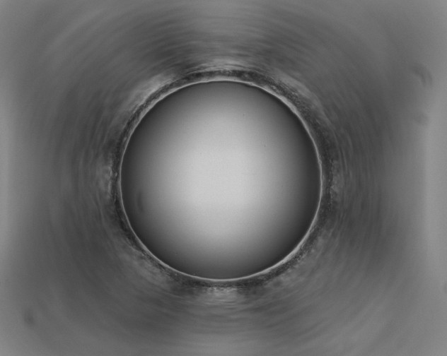 X0000113941313200909251232