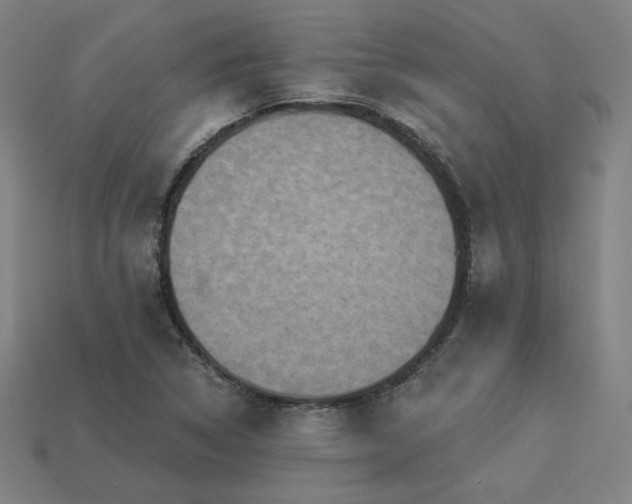 X0000113941314200909251232