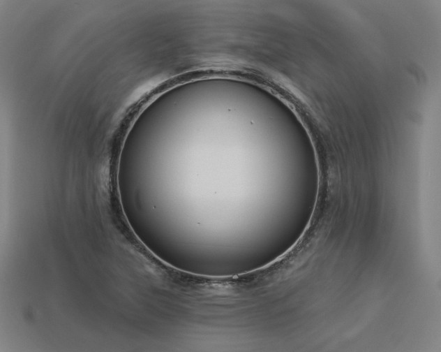 X0000113941315200909251232