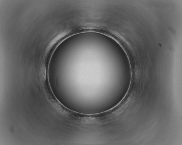 X0000113941317200909251232