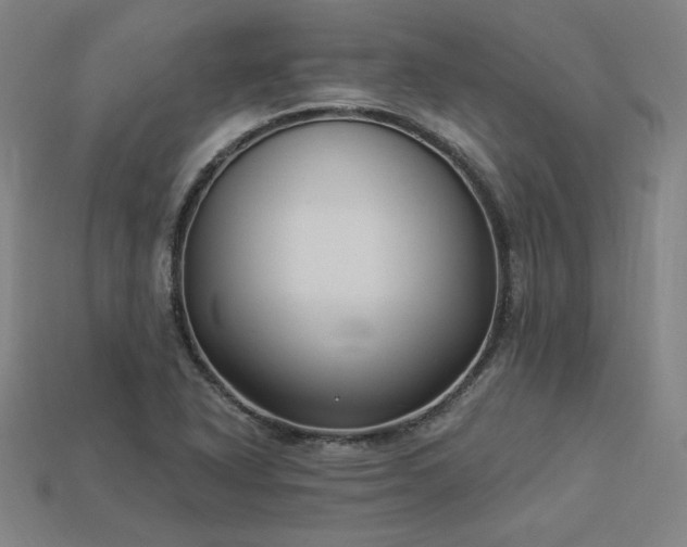 X0000113941318200909251232