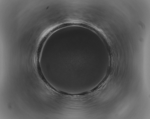 X0000113941319200909251232