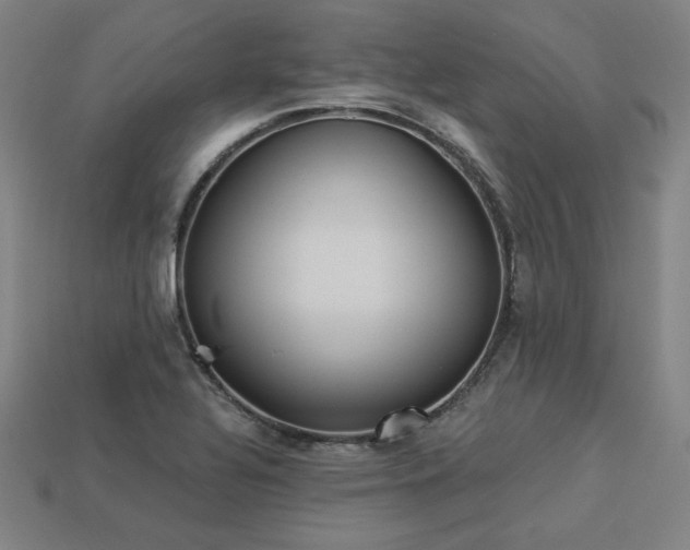 X0000113941320200909251232