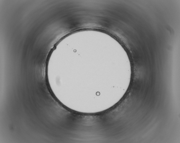 X0000113941322200909251232