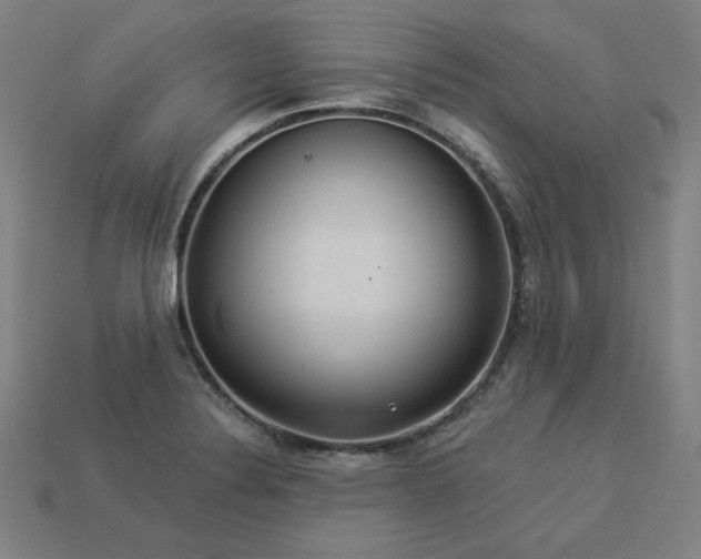 X0000113941324200909251232