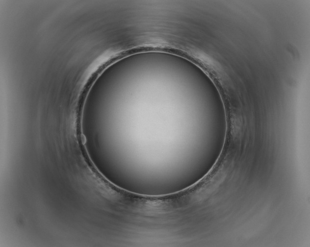 X0000113941326200909251232