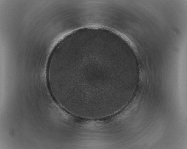 X0000113941327200909251232
