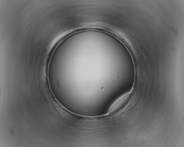 X0000113941328200909251232