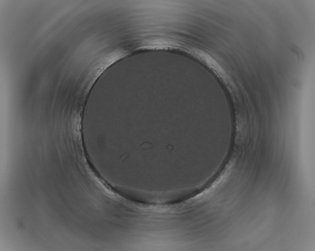 X0000113941329200909251232